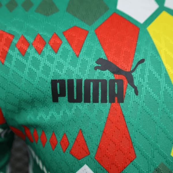 2023/2024 Player Version Senegal National Team Home Shirt