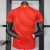 2024 Spain Home Football Shirt 1:1 Thai Quality - Player Version