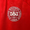 2024 Denmark National Team Home Football Shirt 1:1 Thai Quality