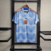 2022 FIFA World Cup Spain Away Soccer Shirt