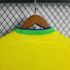 2022 World Cup Brazil Home Soccer Jersey