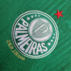 2024/2025 Palmeiras Home Football Shirt 1:1 Thai Quality