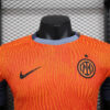 2023/2024 Internazionale Milan Third Away Football Jersey 1:1 Quality Thai - Player Version