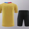 2024/2025 Barcelona pre-match training Glod Shirt+Shorts 1:1 Thai Quality