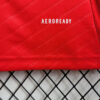 2024/2025 Benfica Home Football Shirt 1:1 Thai Quality