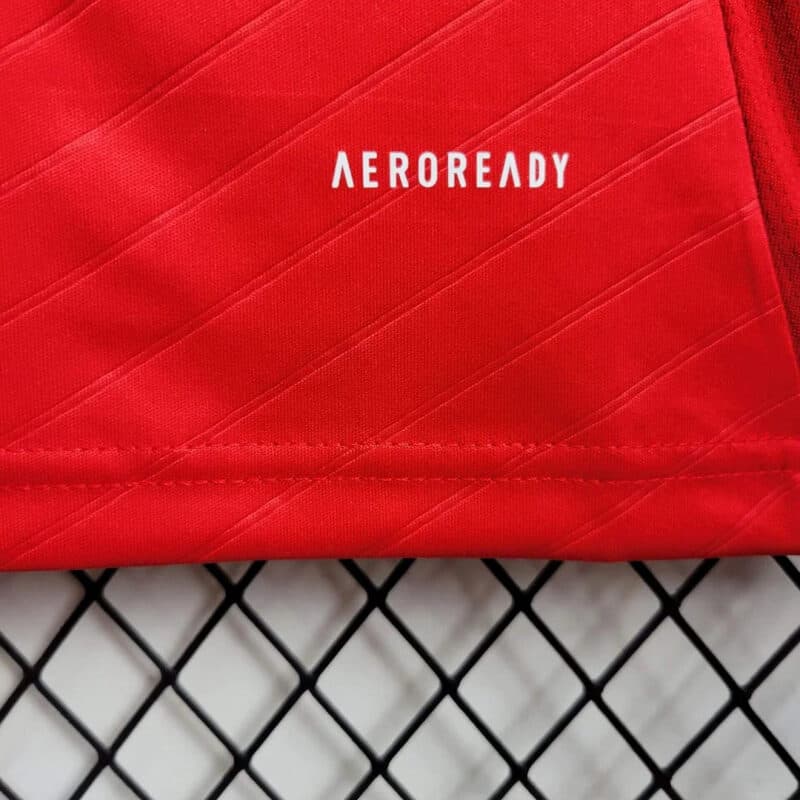 2024/2025 Benfica Home Football Shirt 1:1 Thai Quality