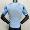 2022 FIFA World Cup Spain Away Soccer Shirt - Player Version
