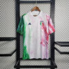 2024/2025 Italy Special Edition Football Shirt 1:1 Thai Quality