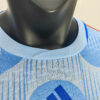 2022 FIFA World Cup Spain Away Soccer Shirt - Player Version