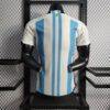 2022 FIFA World Cup Argentina National Team Jersey Home - Player Version