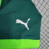 2023/2024 Palmeiras Home Football Shirt 1:1 Thai Quality