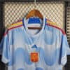 2022 FIFA World Cup Spain Away Soccer Shirt