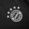 2024/2025 Bayern Munich Training Wear Football Jersey 1:1 Thai Quality